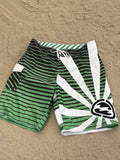 Billabong Andy Irons Rising Sun Boardshorts 38